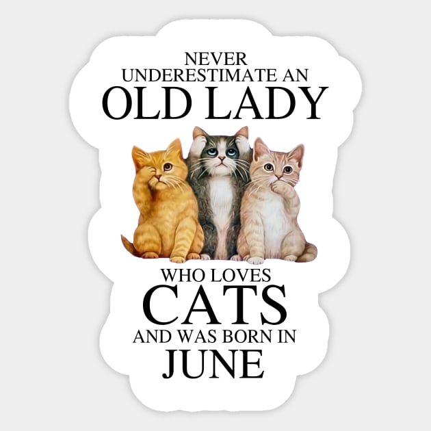 Never Underestimate An Old Lady Who Loves Cats June Sticker by louismcfarland